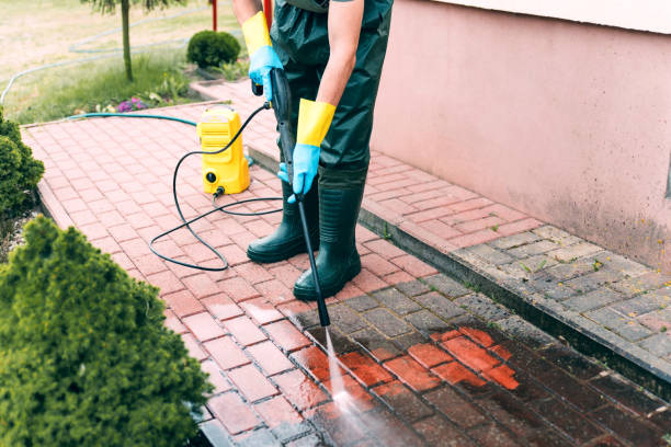 Best Graffiti Removal  in Herscher, IL